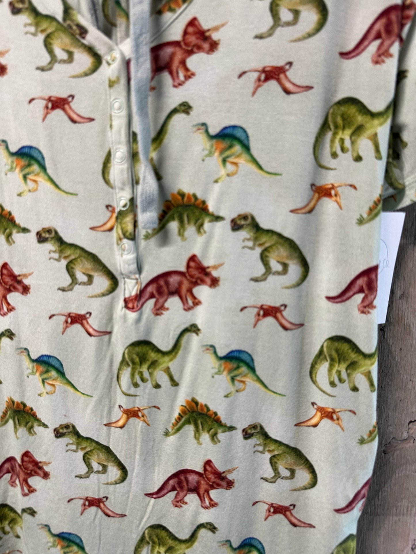 Posh Peanut Women’s Dinosaur Pajamas Sz L