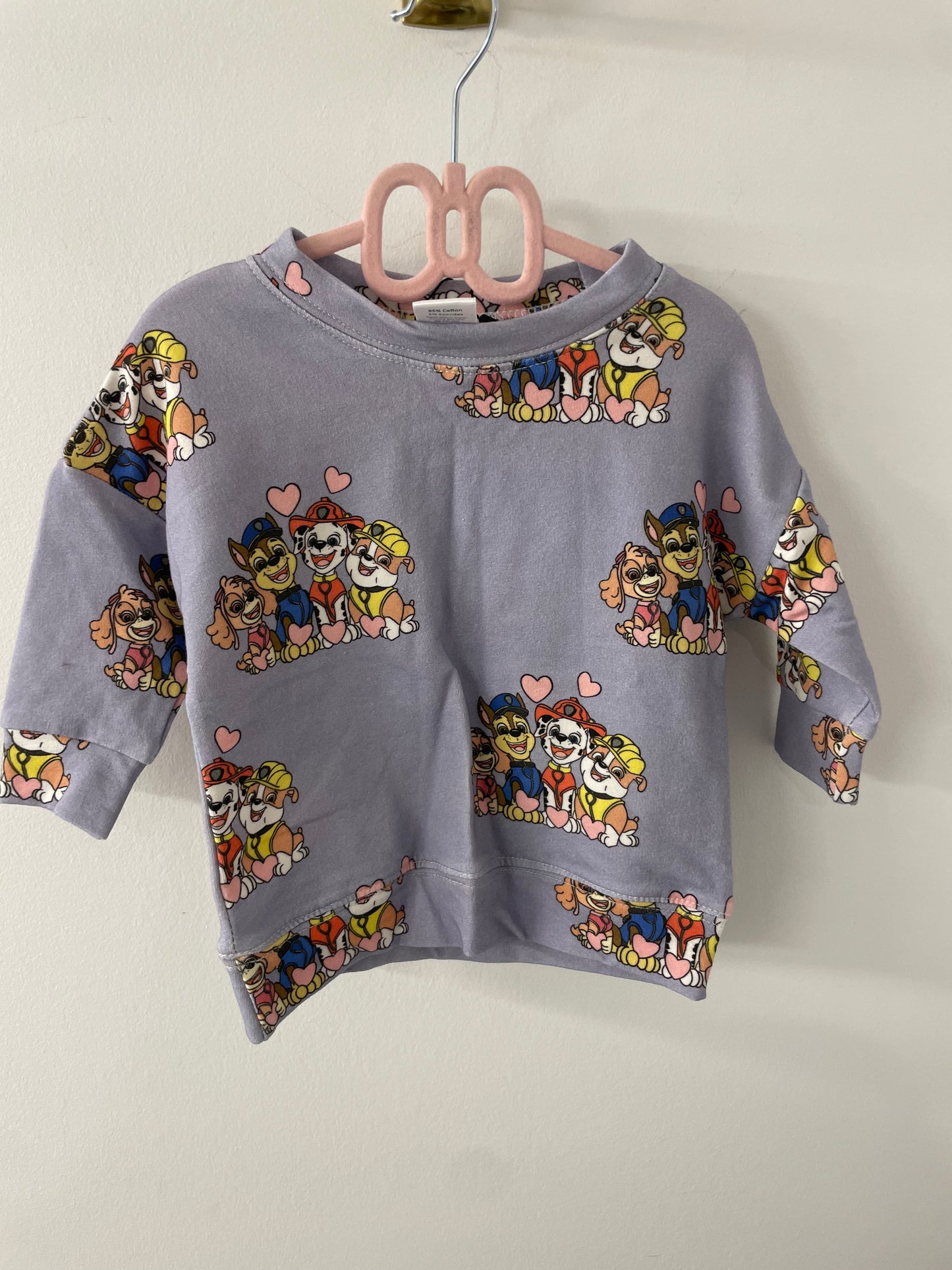 Dear Aspen Crewneck 12/18m NWT