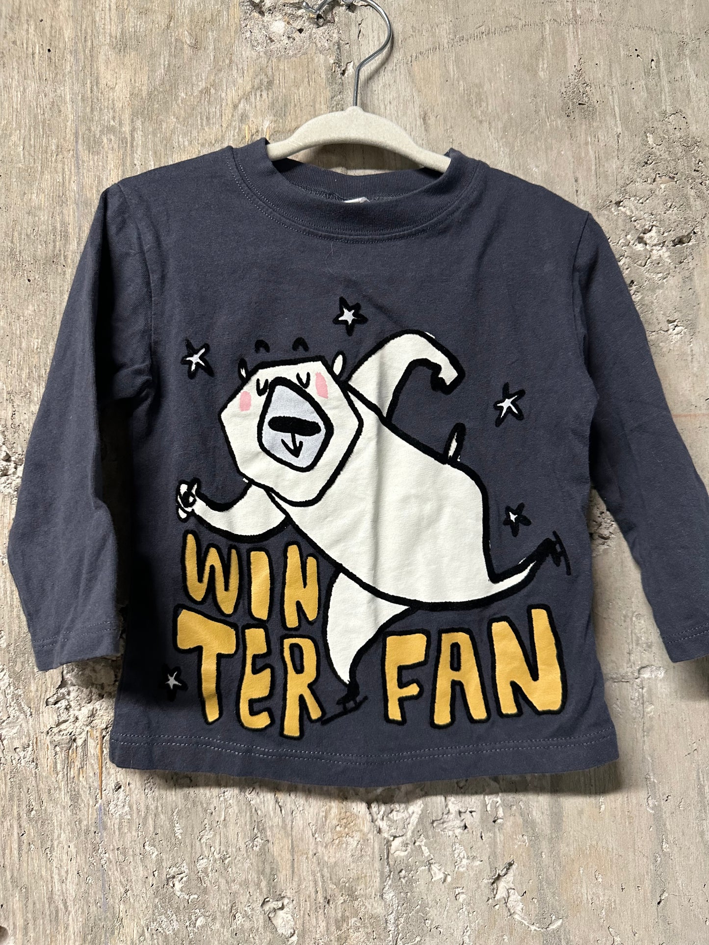 Zara Winter Fan Long Sleeve Top Sz 12/18m