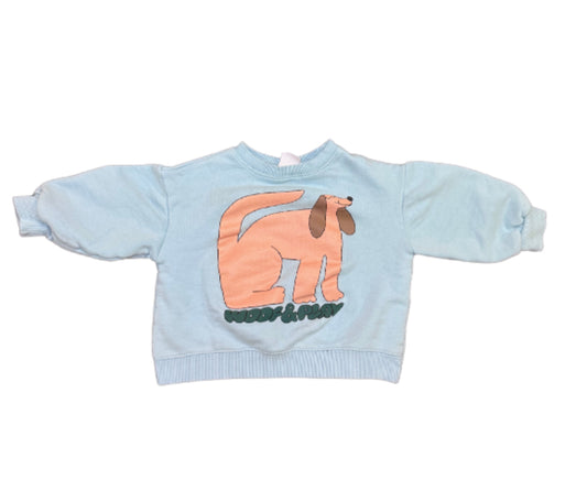 Zara Kids Wood & Play Crewneck - 4T