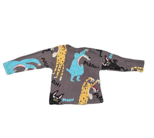 Zara Long Sleeve - Size 2/3Yr