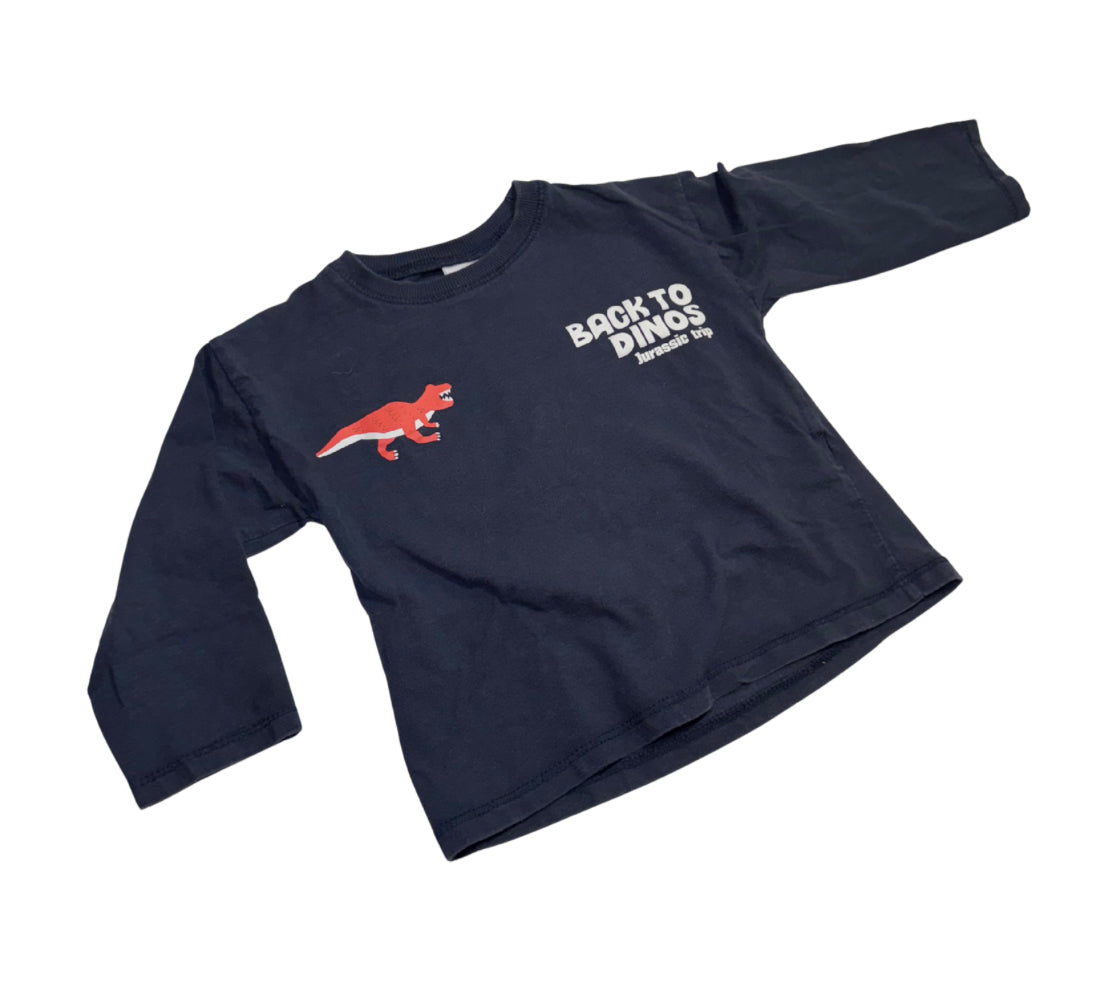 Zara Back To Dinos Long Sleeve - Size 3 Yr