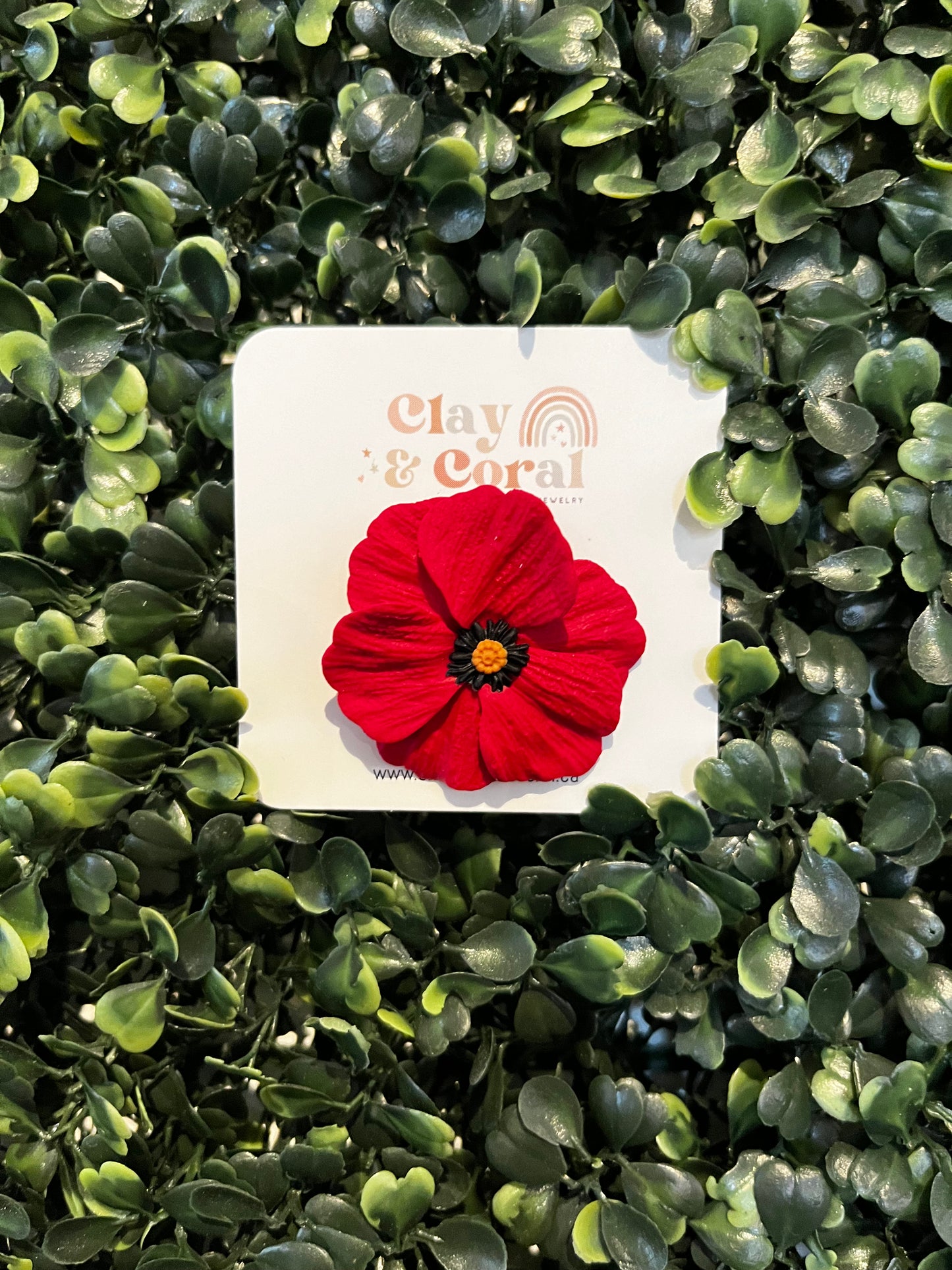 Clay and Coral Poppies