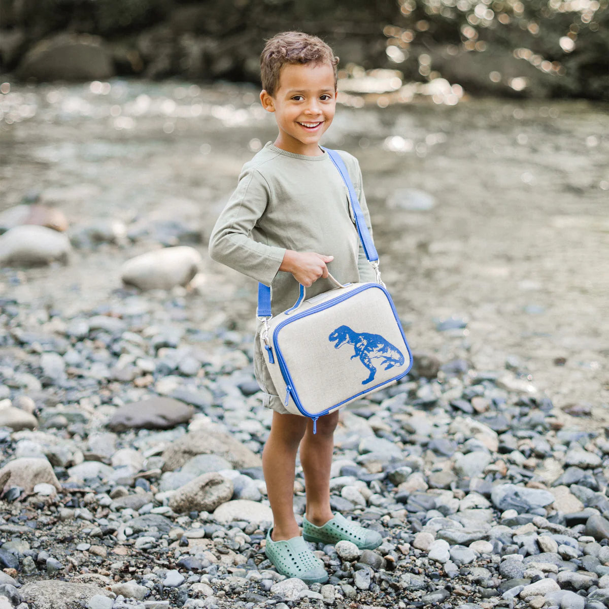 SoYoung Blue Dino Lunch Box