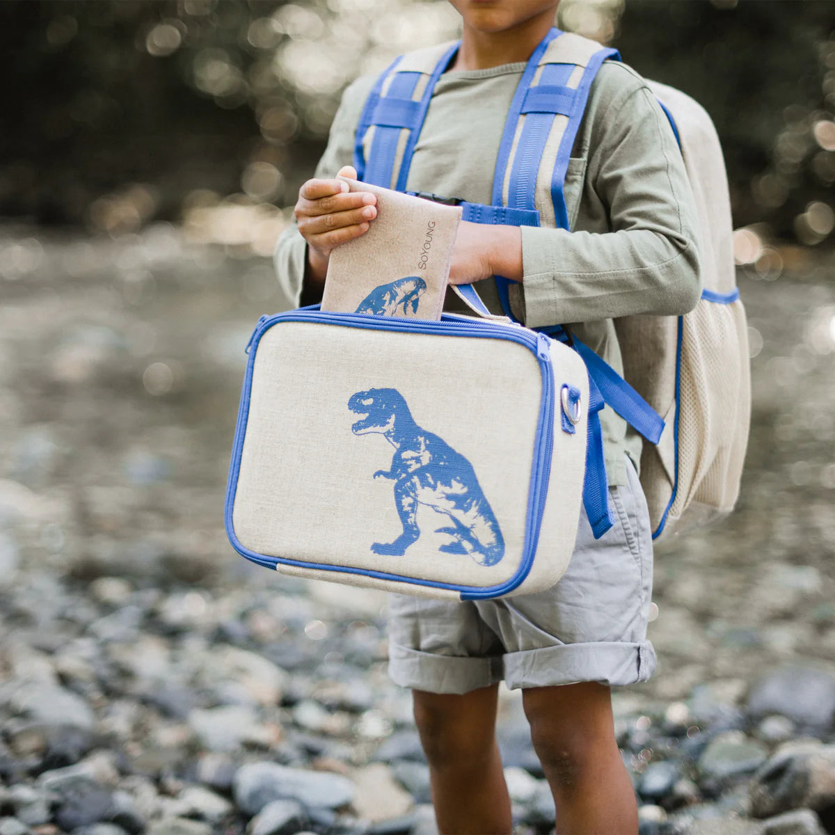 SoYoung Blue Dino Lunch Box