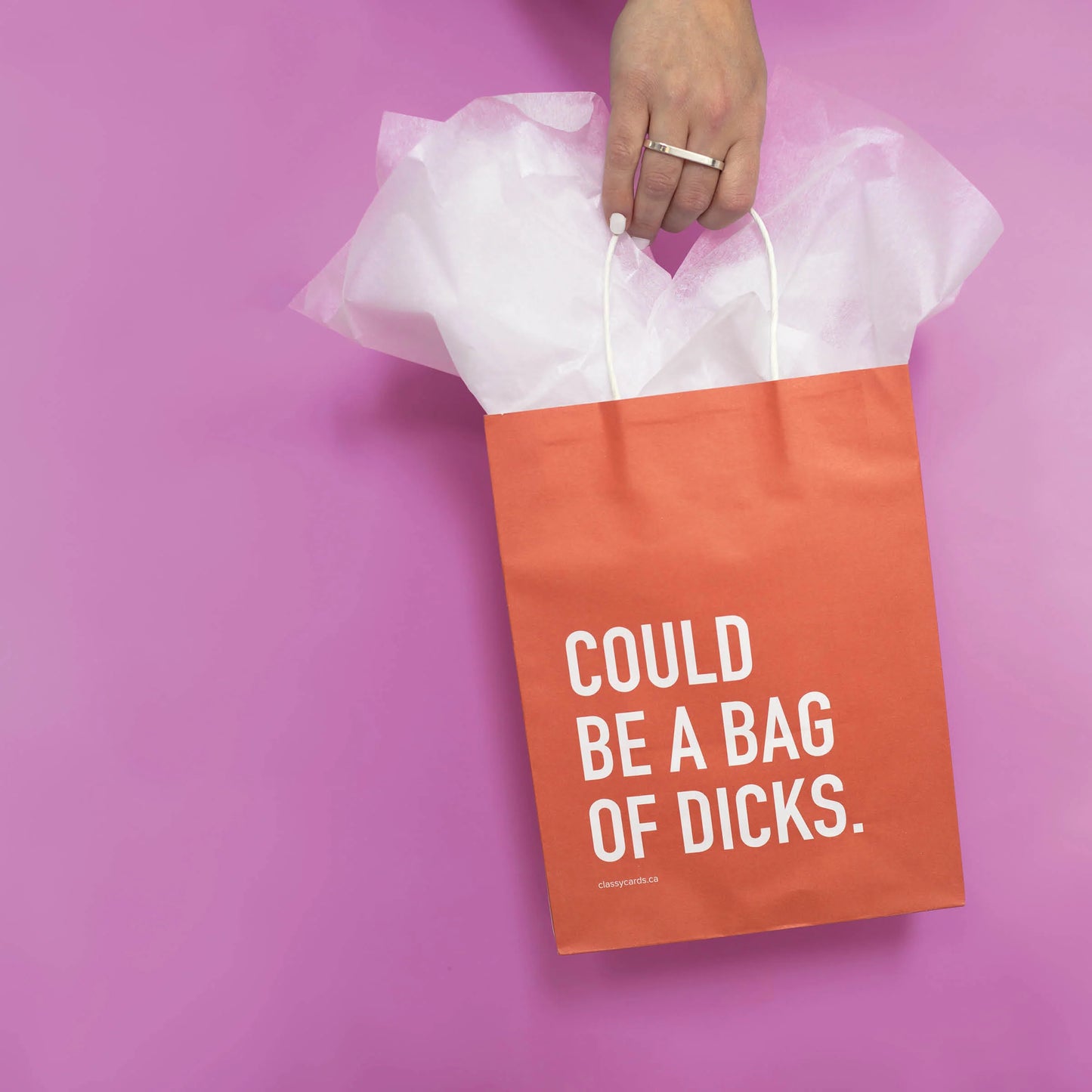 Bag of Dicks Gift Gift Bag