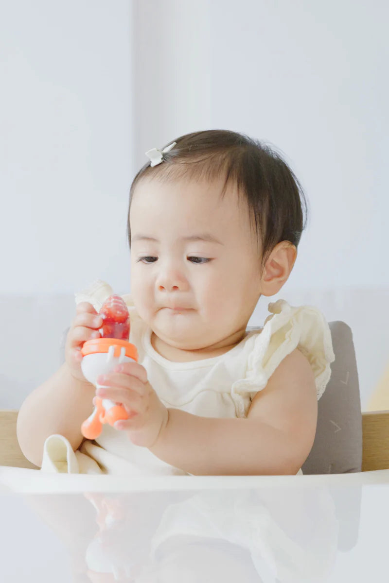 Quark Fruuti Baby Fruit Feeder