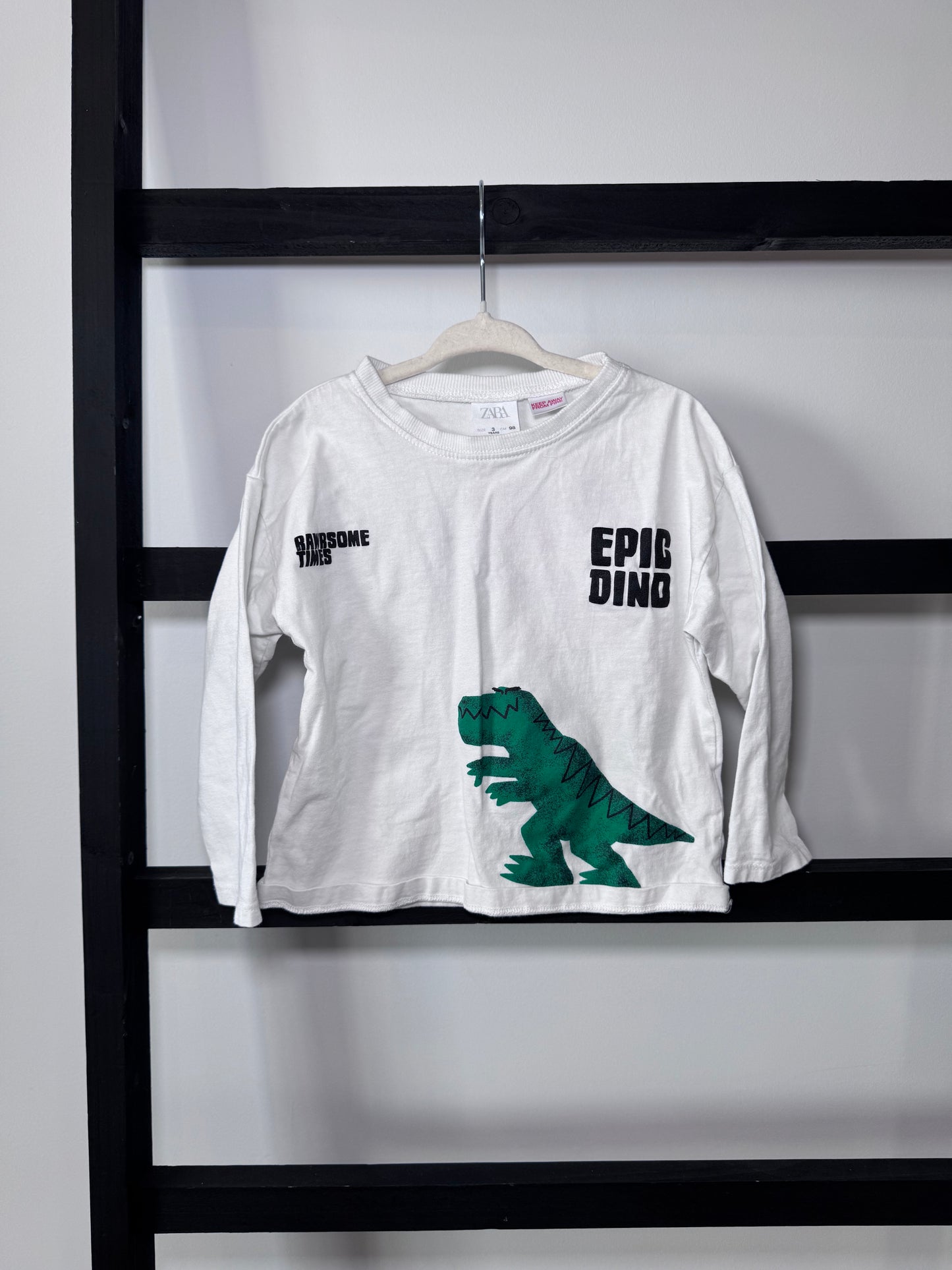 Zara Rawrsome Times Long Sleeve - 3T