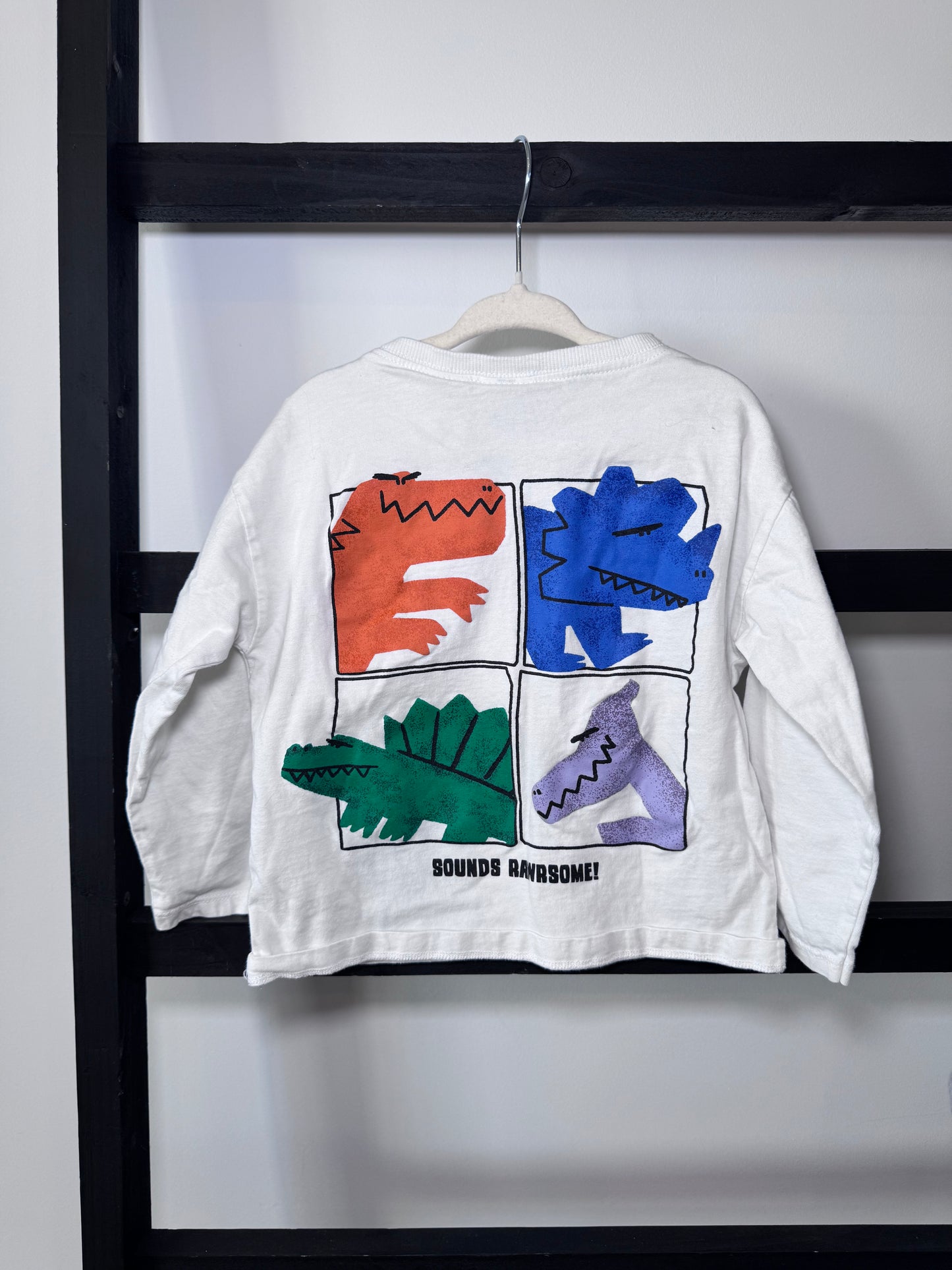 Zara Rawrsome Times Long Sleeve - 3T