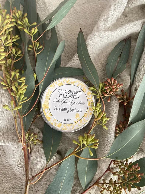 Chickweed and Clover Everything Ointment