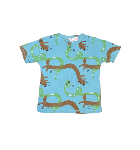 Zara Tshirt - 2/3T