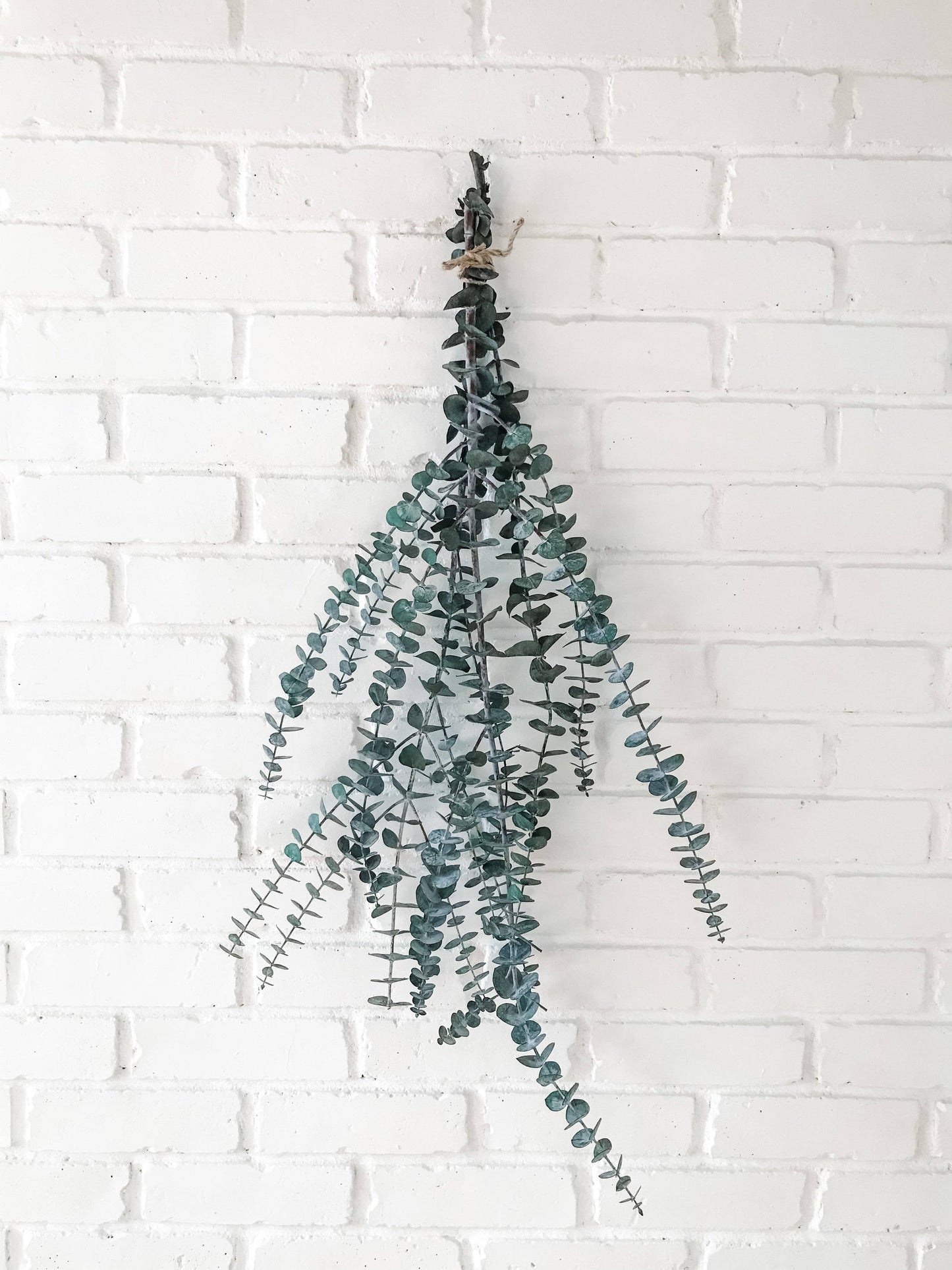 Eucalypt Co. - Eucalyptus Shower Bundle: Large