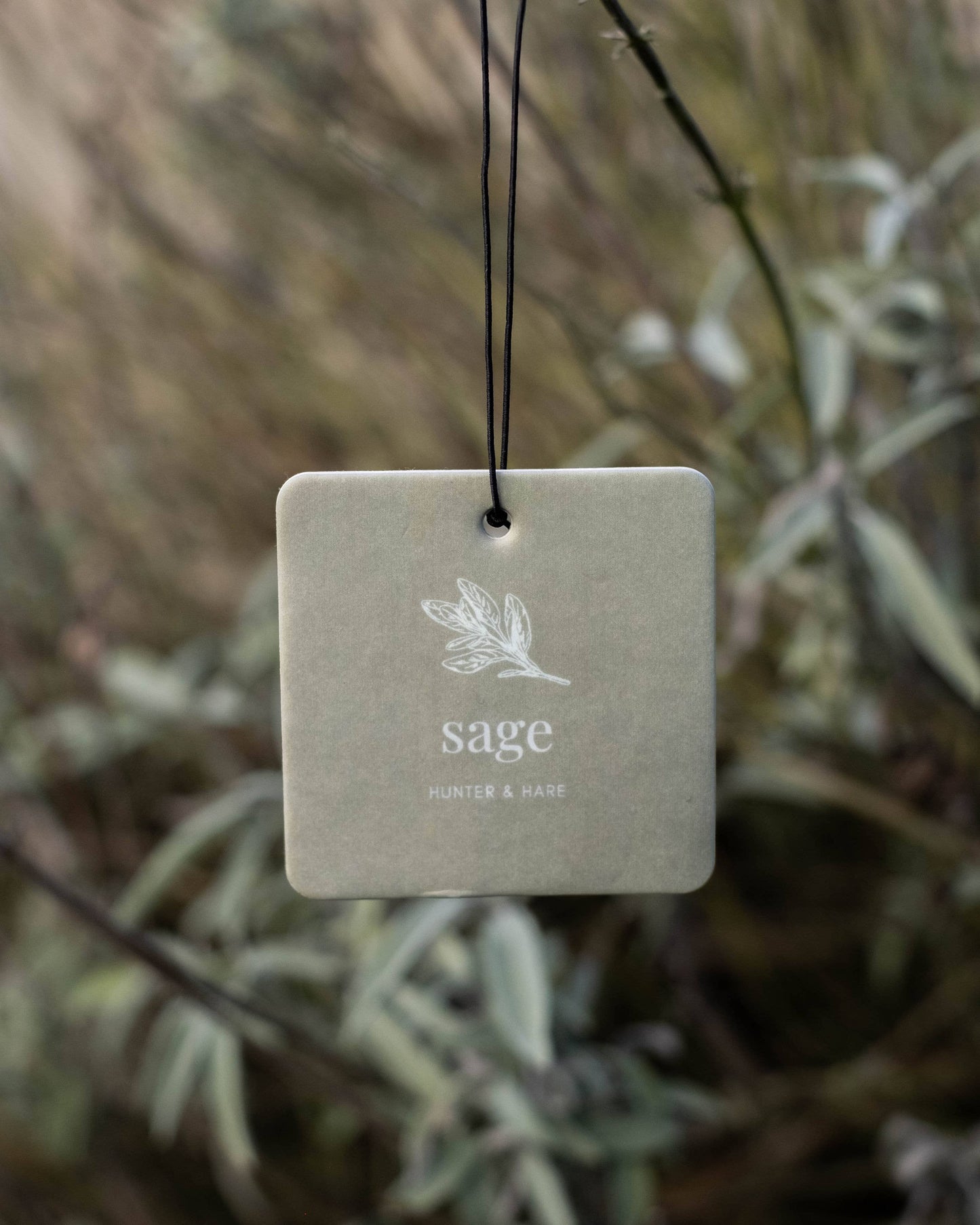 Hunter & Hare - Hunter & Hare Air Fresheners: Honey Peach