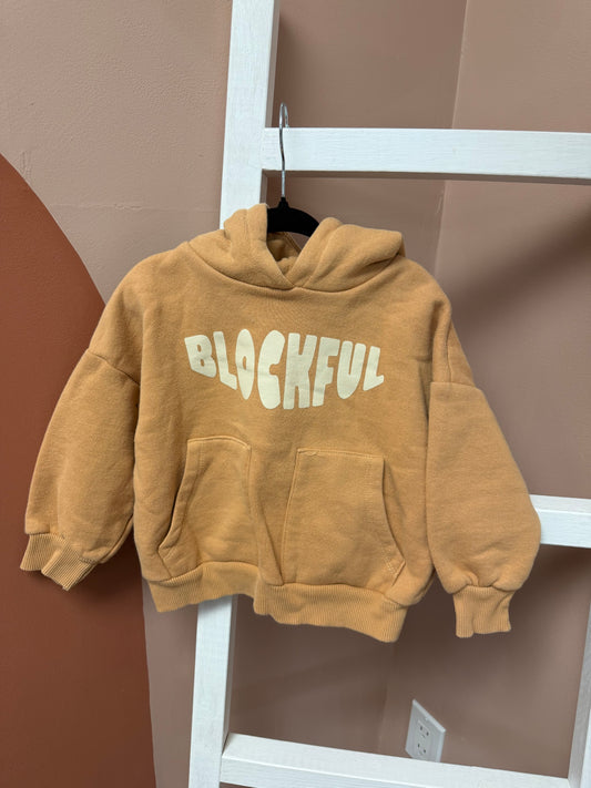 Zara Blockful Hoodie - Size 18/24 Months