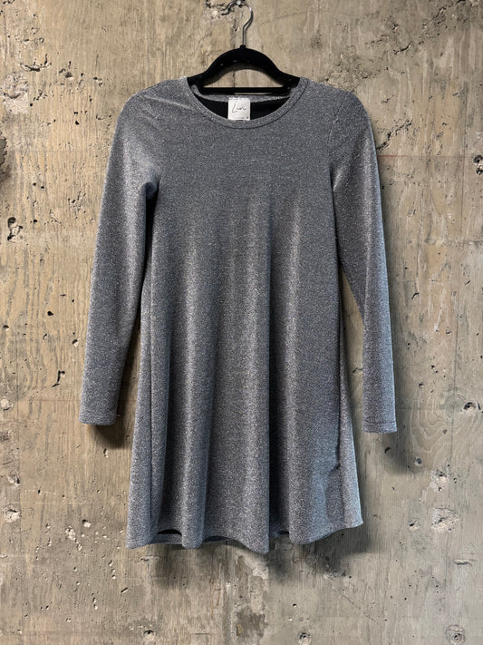 Livi Long Sleeve Silver Dress XS