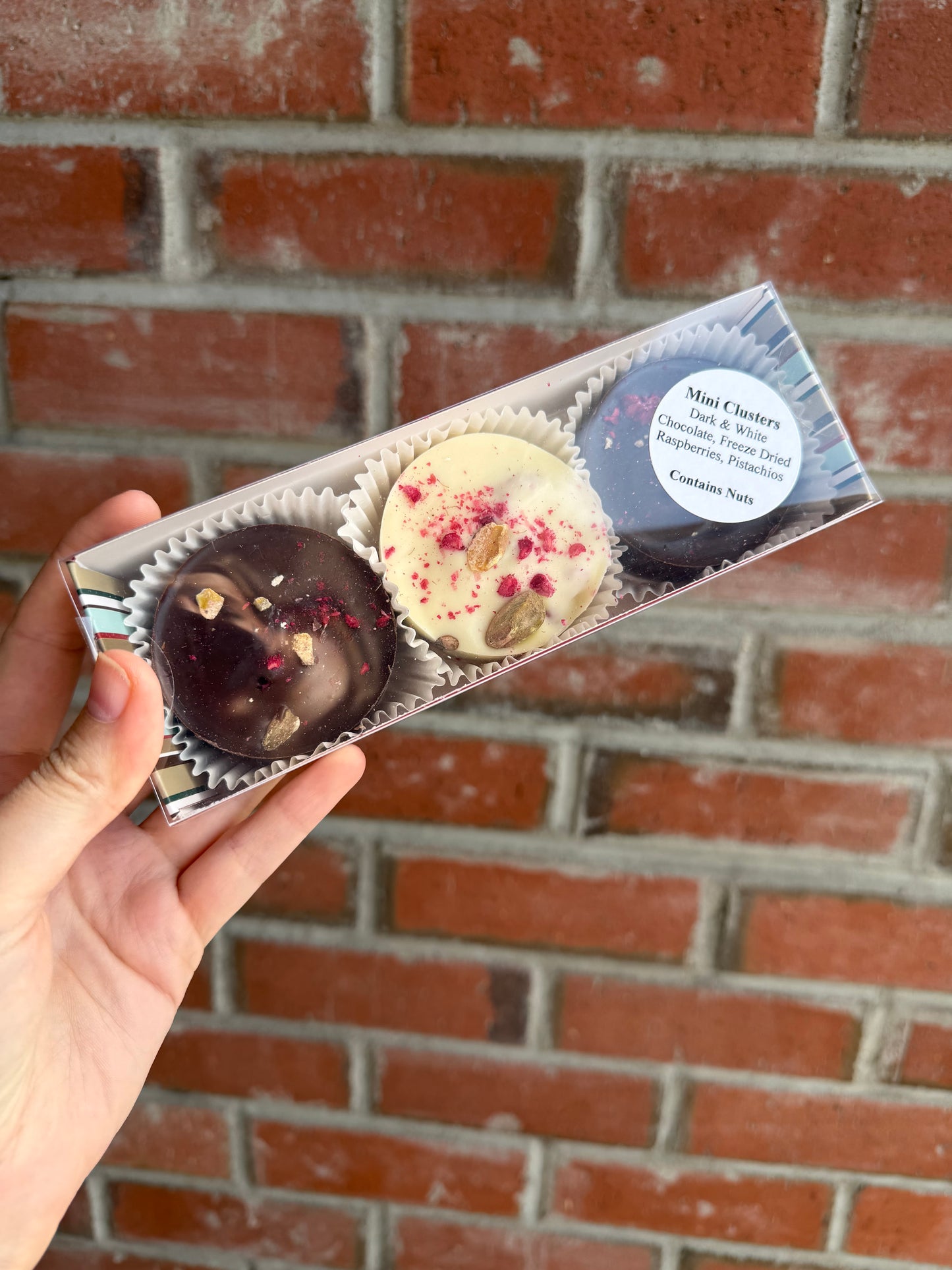 Choco-licious Mini Cluster [Raspberry, Pistachios]