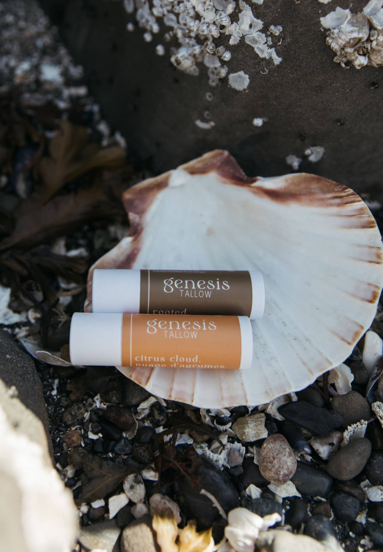 Genesis Tallow - Citrus Cloud Tallow Lip Balm | Orange Vanilla