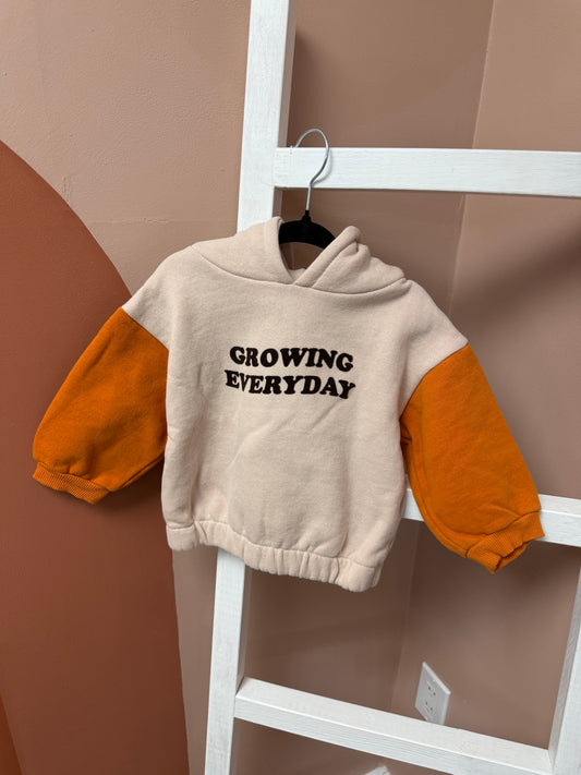Zara Growing Everyday Hoodie - Size 12/18 Months