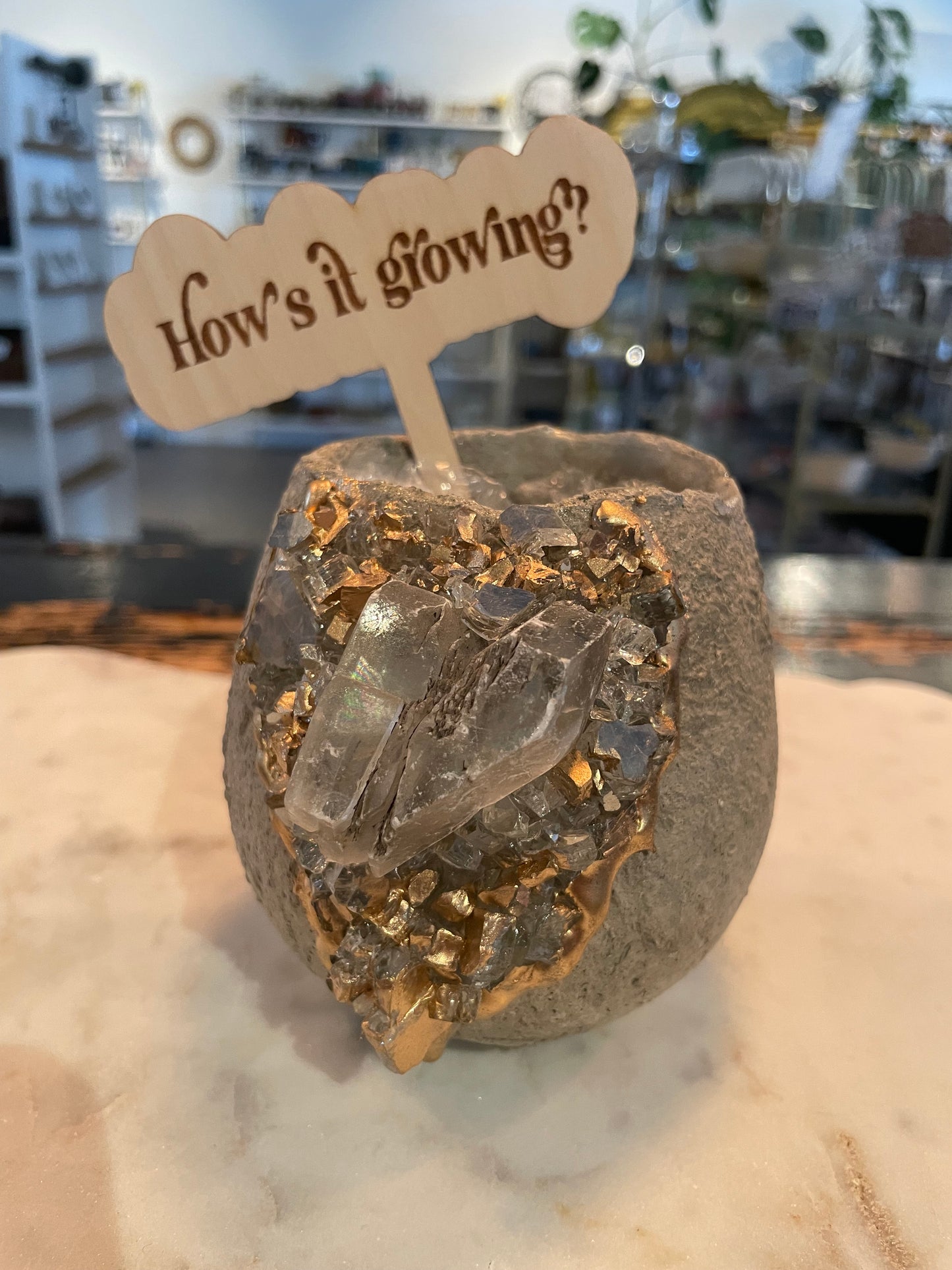 Plant Stakes (various)