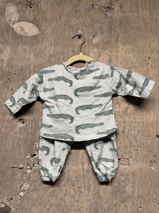Zara Crocodile Two Piece Outfit - Size 3/6 Months