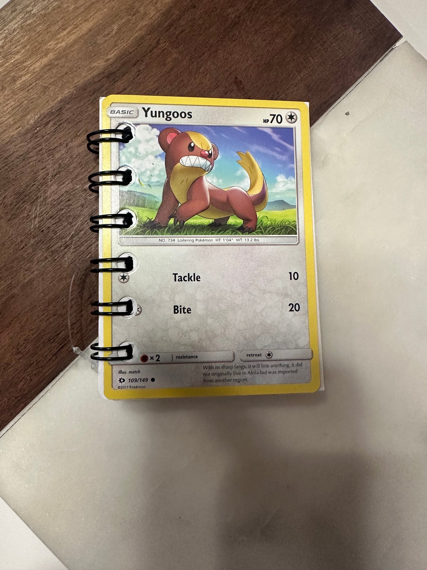 Pokemon Notebooks
