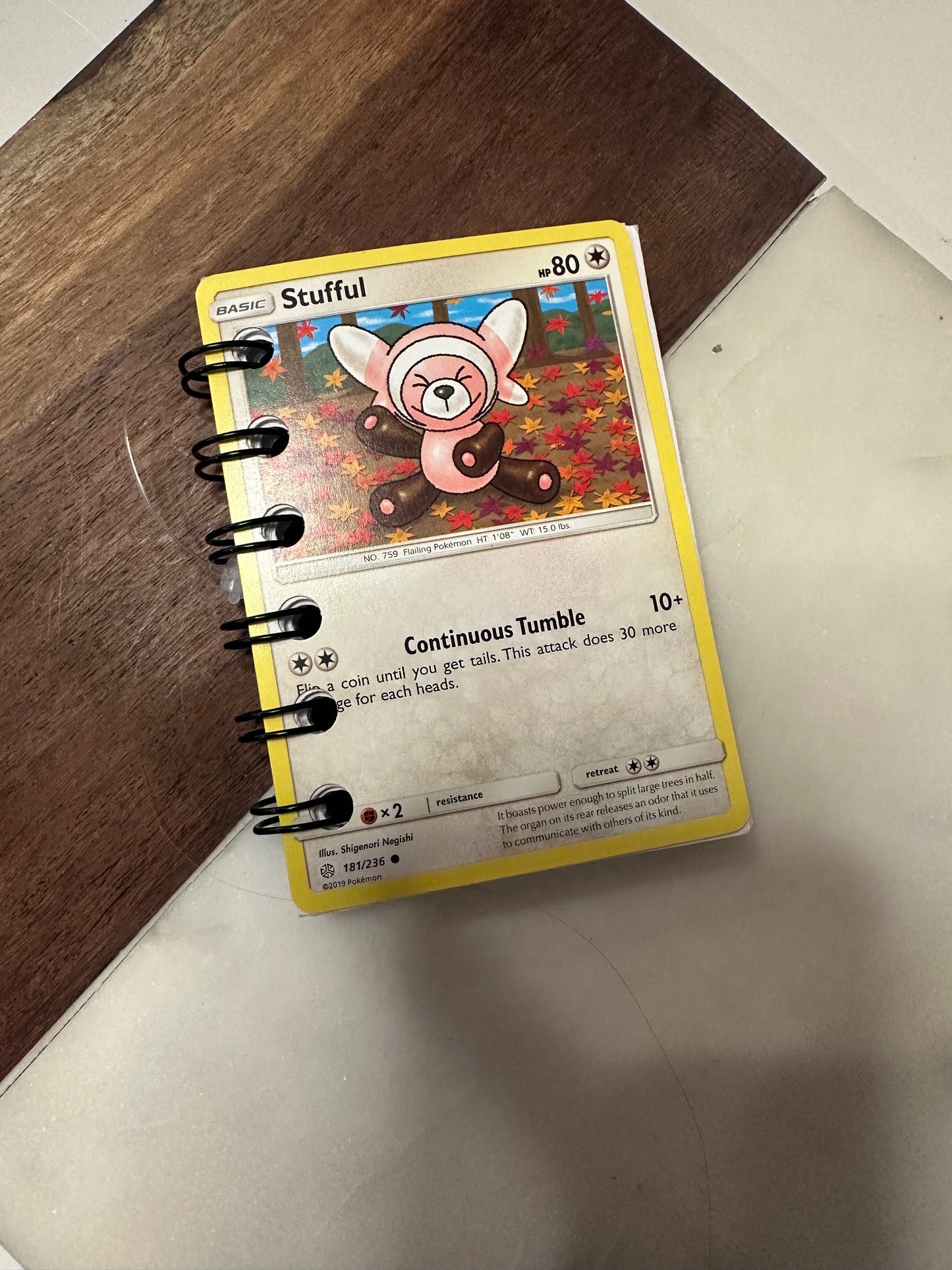 Pokemon Notebooks