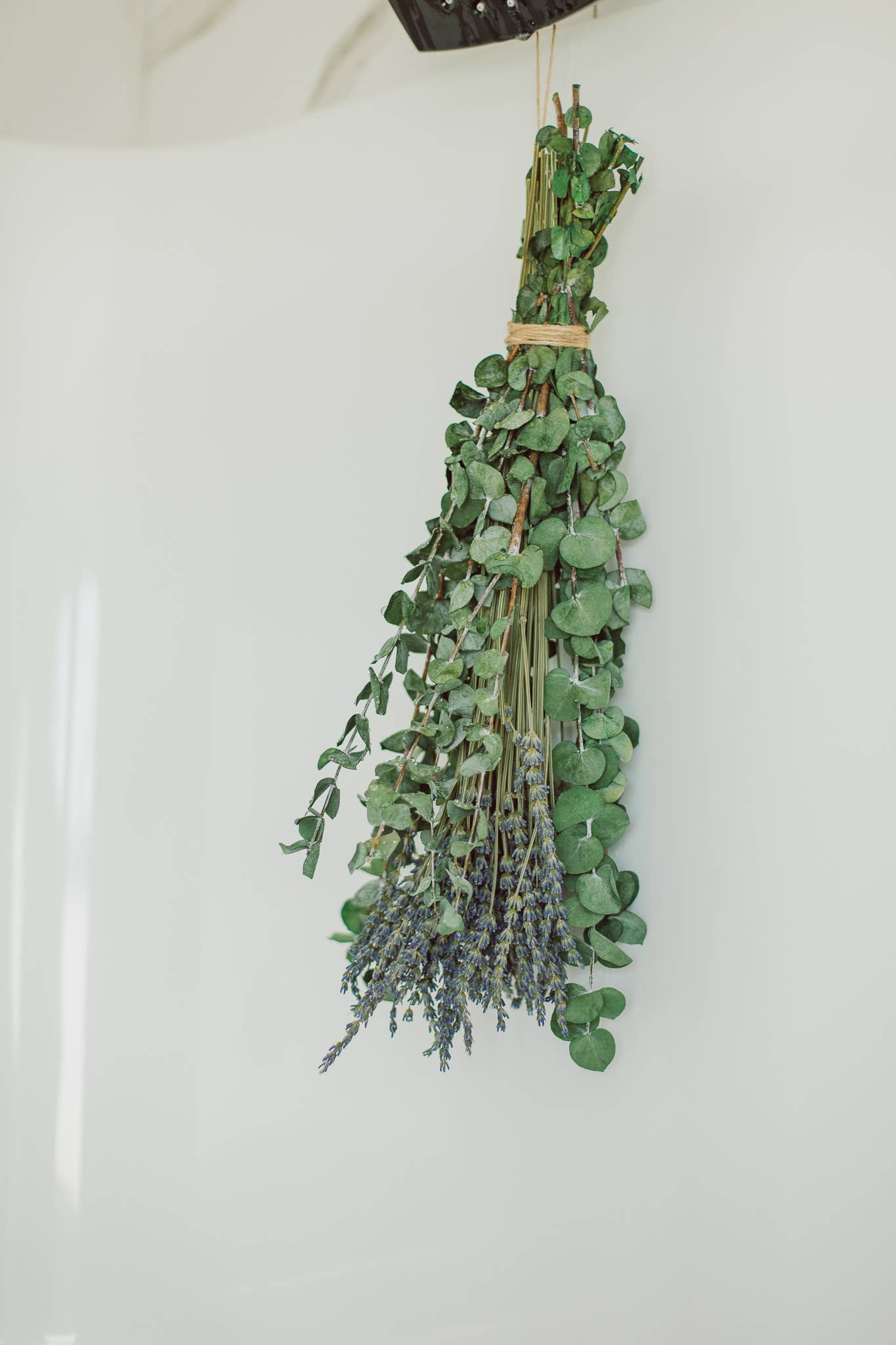 Eucalypt Co. - Eucalyptus + Lavender Shower Bundle: Large