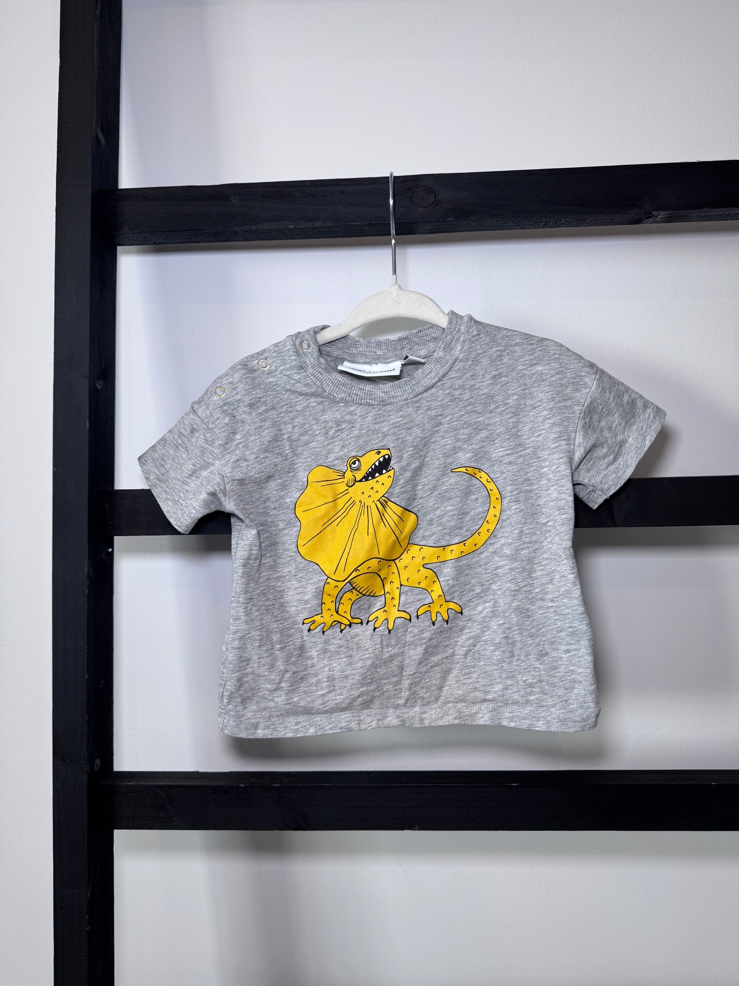 Mini Rodini Dinosaur Tshirt - 12/18 Month