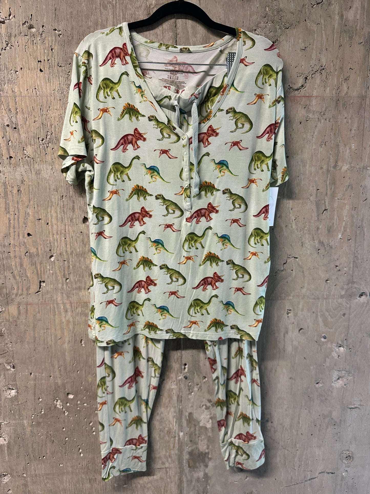 Posh Peanut Women’s Dinosaur Pajamas Sz L