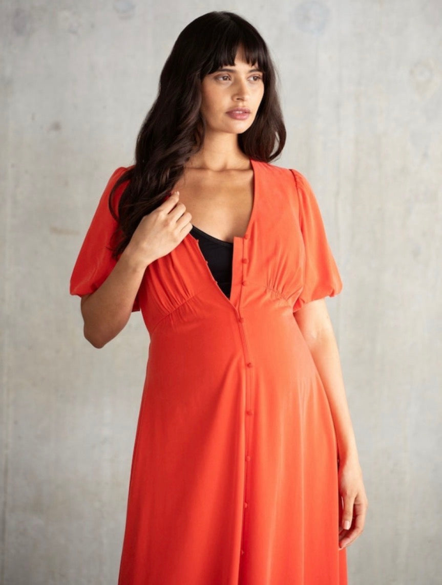 Seraphine Button Front Nursing Maternity Maxi Dress Sz 6 NWT