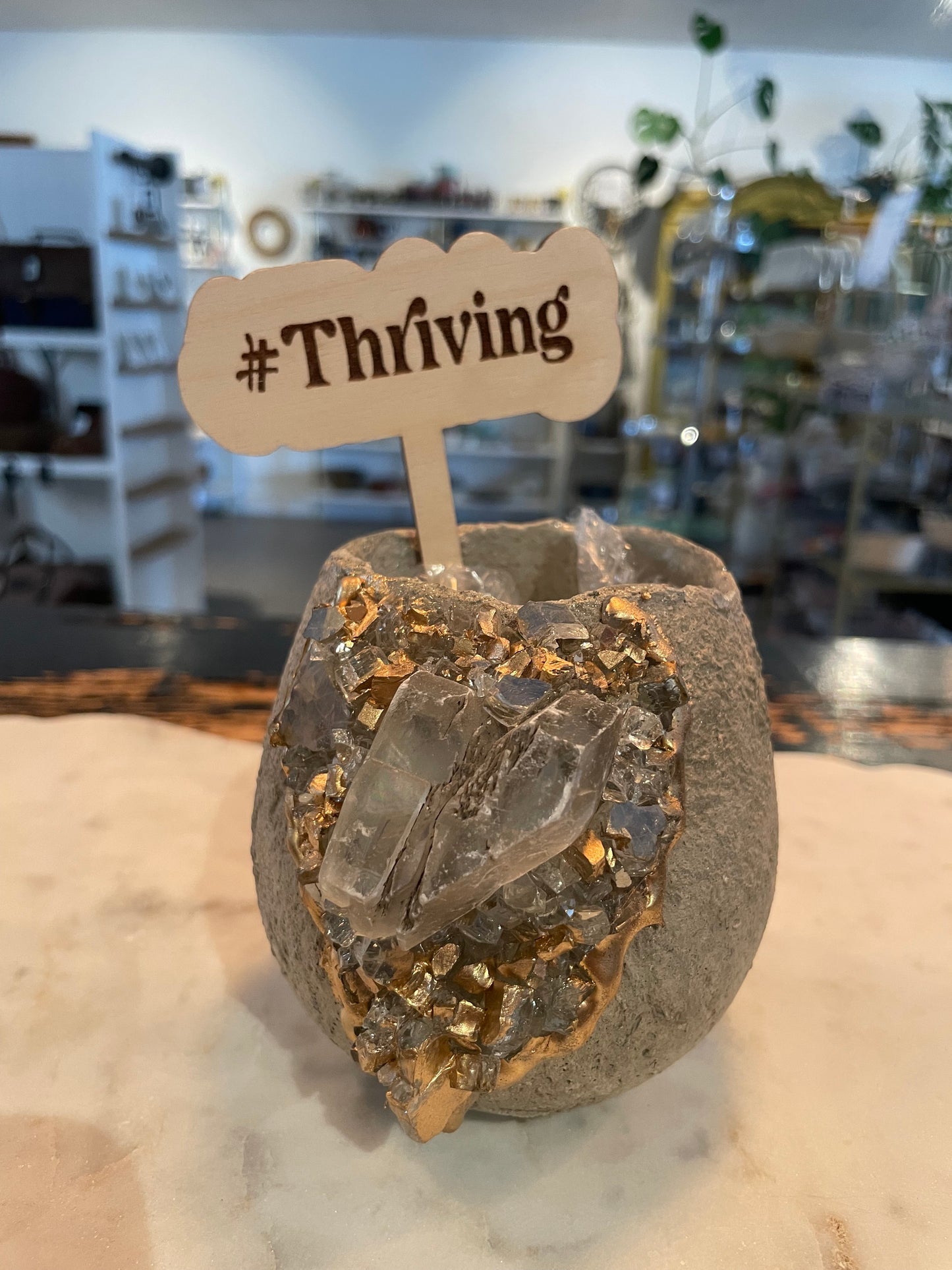 Plant Stakes (various)