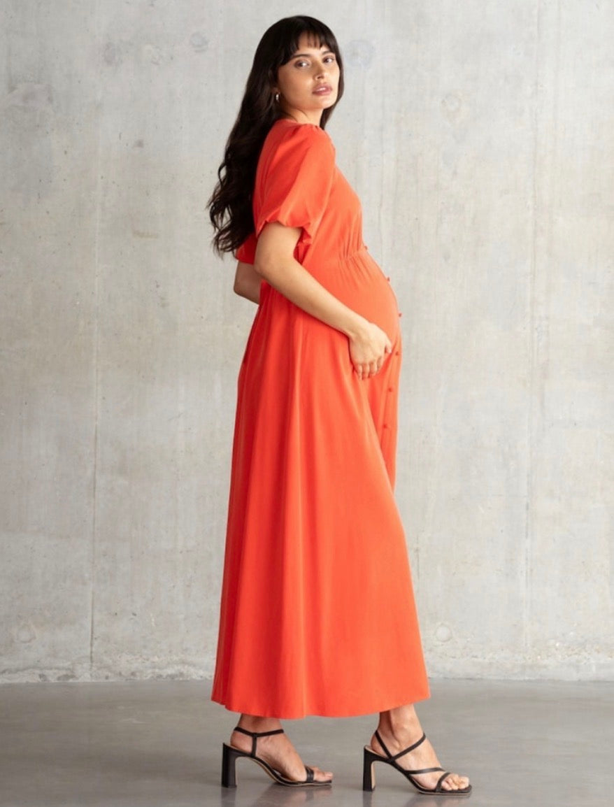 Seraphine Button Front Nursing Maternity Maxi Dress Sz 6 NWT