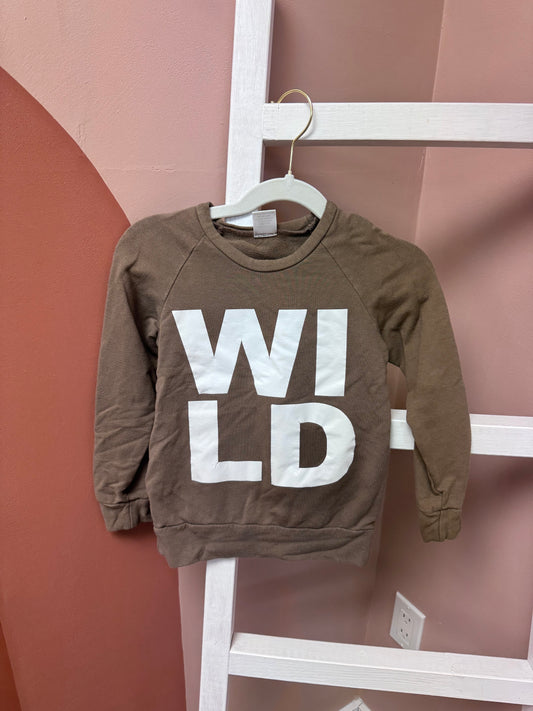 Posh & Cozy Long Sleeve - Size 4T