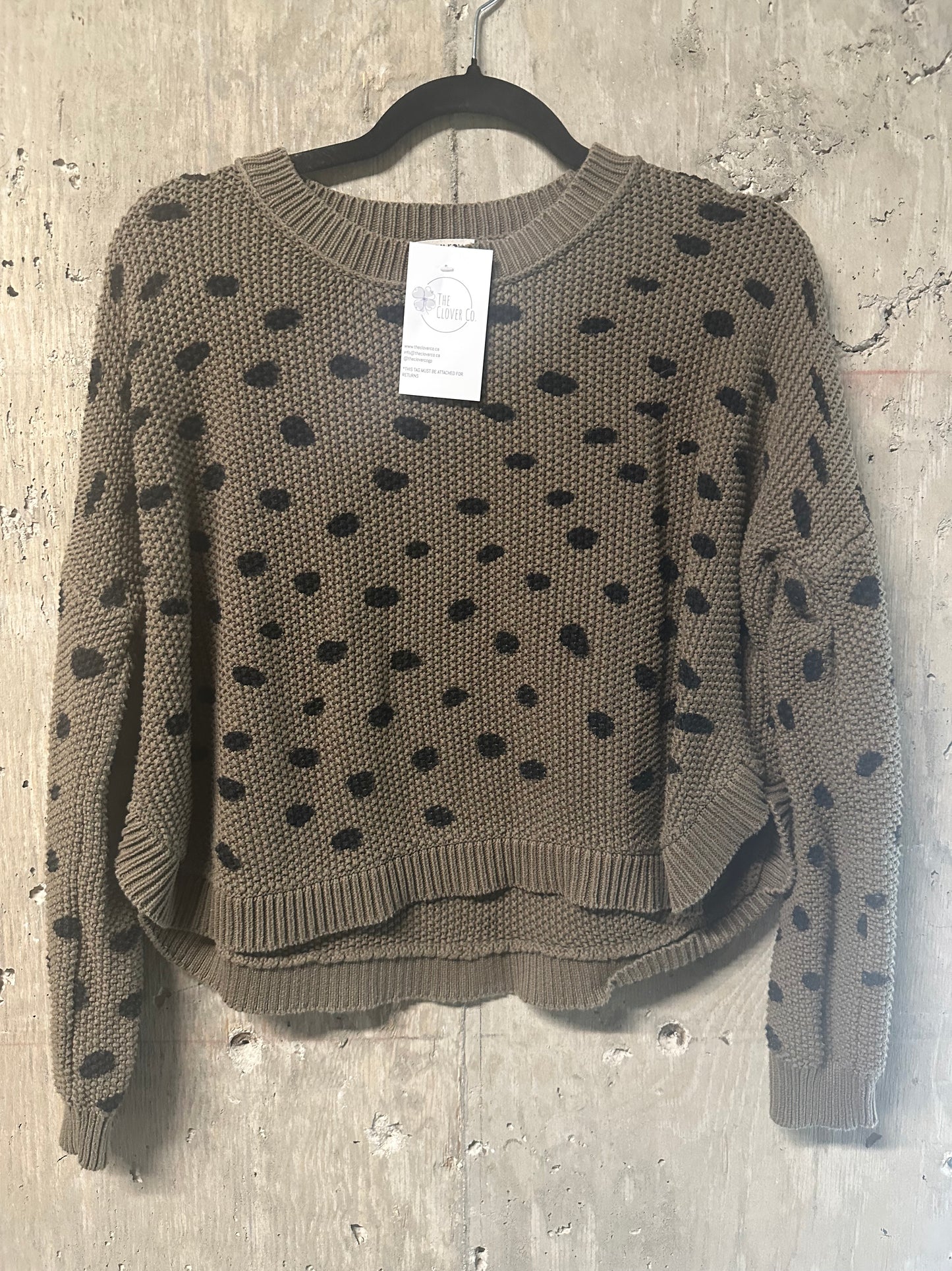 Jackson Rowe Chukar Polka Dot Basil Sweater Sz S