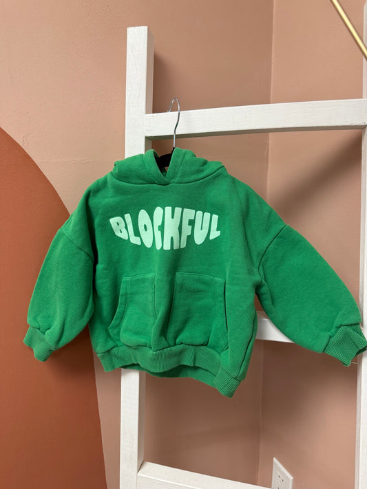 Zara Blockful Green Hoodie - Size 18/24 Months