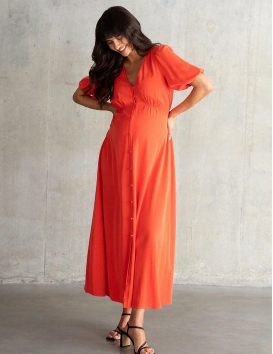 Seraphine Button Front Nursing Maternity Maxi Dress Sz 6 NWT