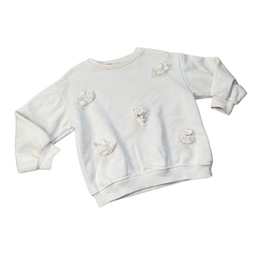 Zara Beige Crewneck - Size 3/4 Yr