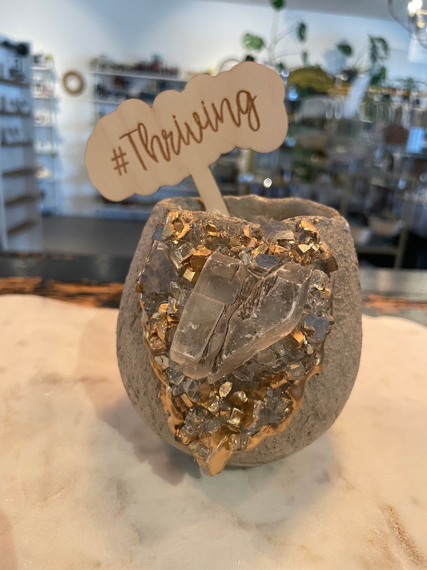 Plant Stakes (various)