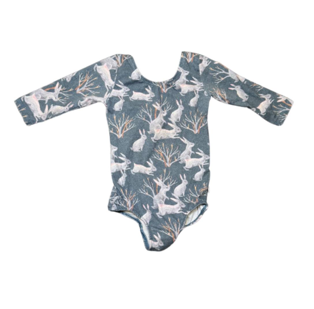 Little & Lively Long Sleeve Onesie - 3/4T