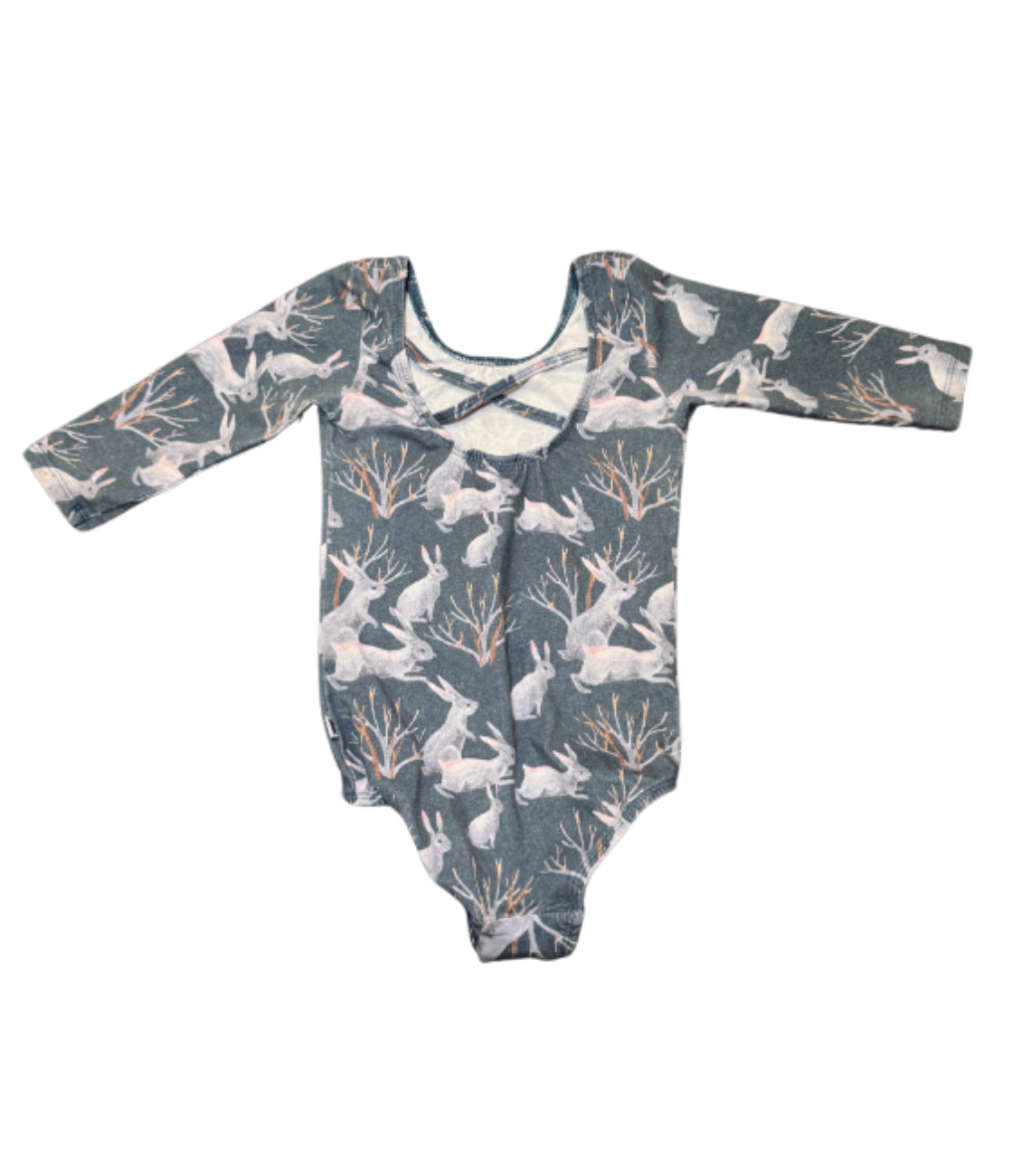 Little & Lively Long Sleeve Onesie - 3/4T