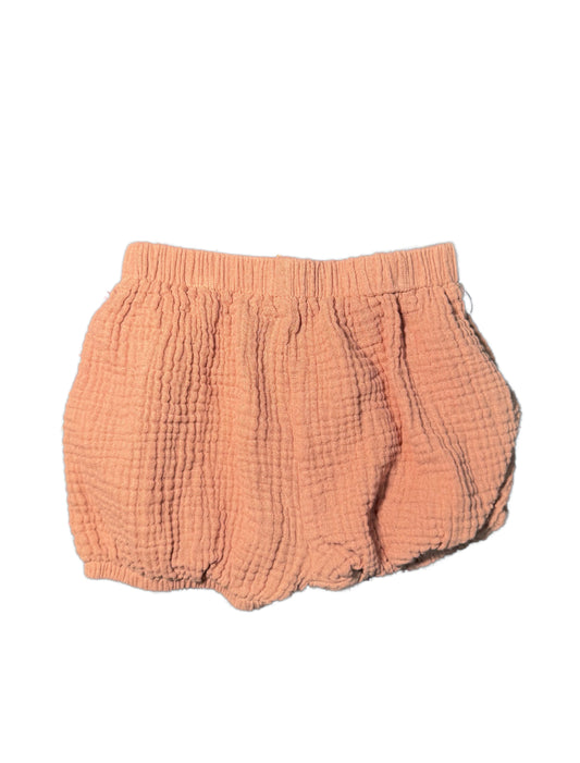 Field Day Shorts - Size 12/18 Month