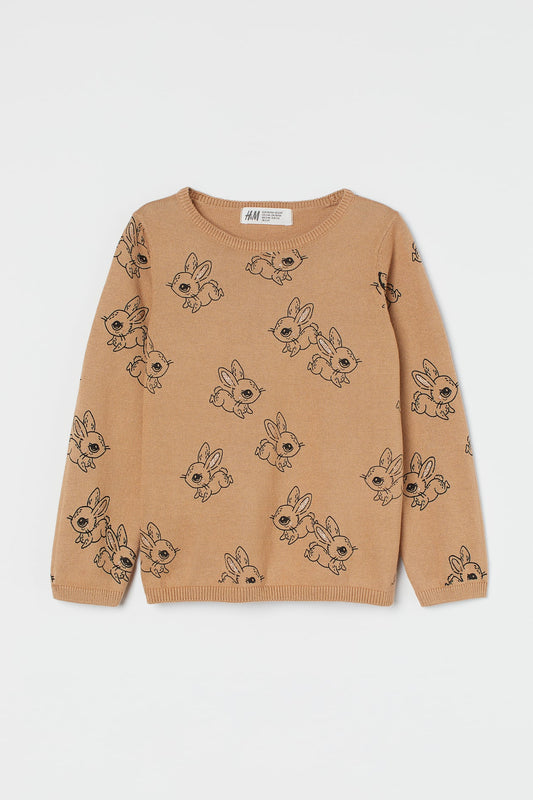 H&M Fine Knit Cotton Sweater - Size 3/4T