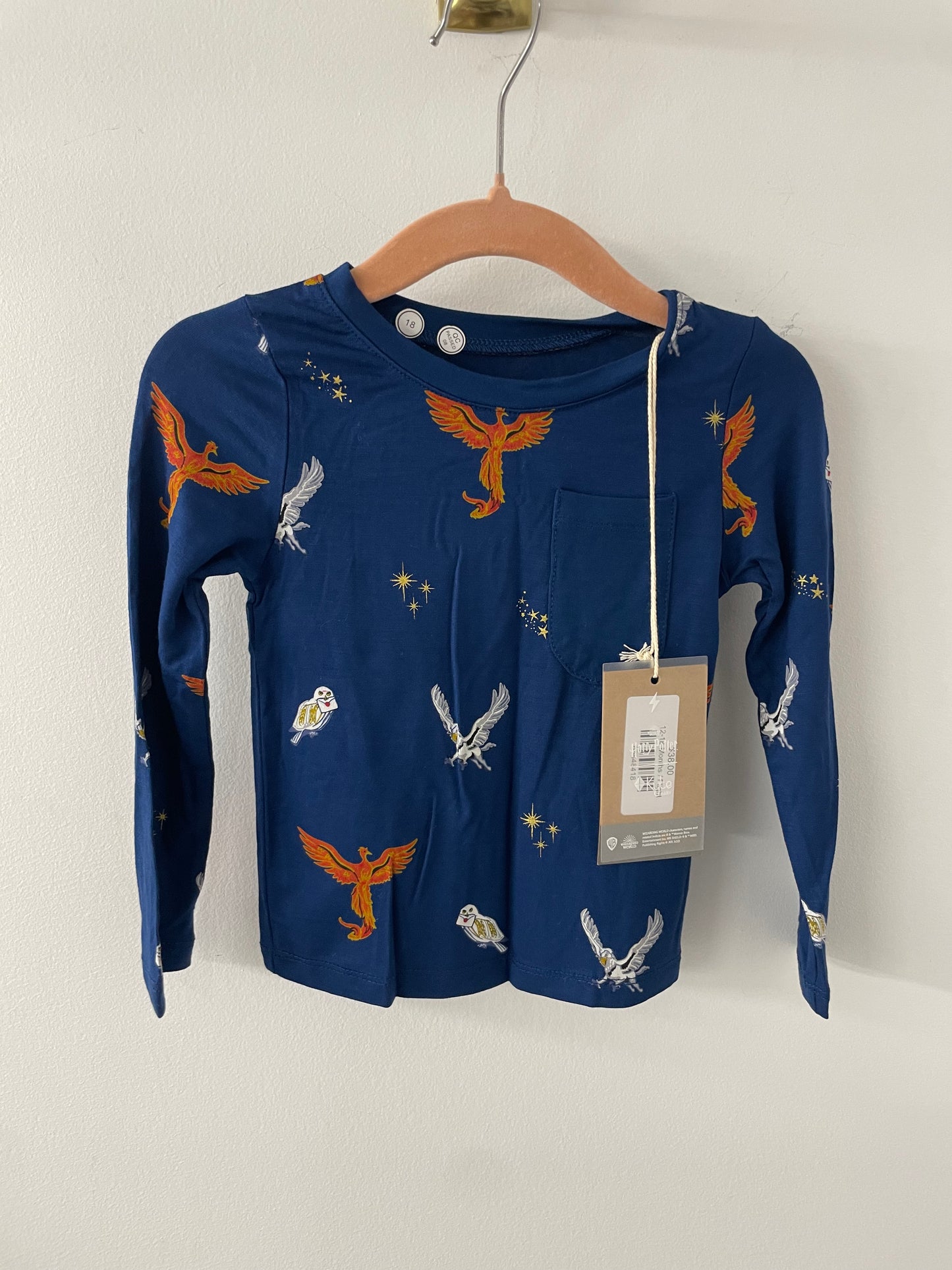 Kyte Flight Long Sleeve Top 12/18m NWT