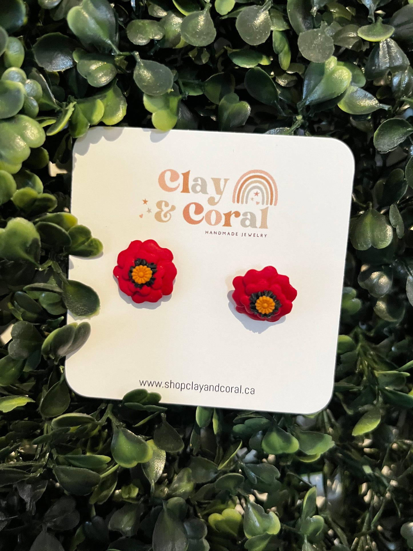Clay and Coral Poppies