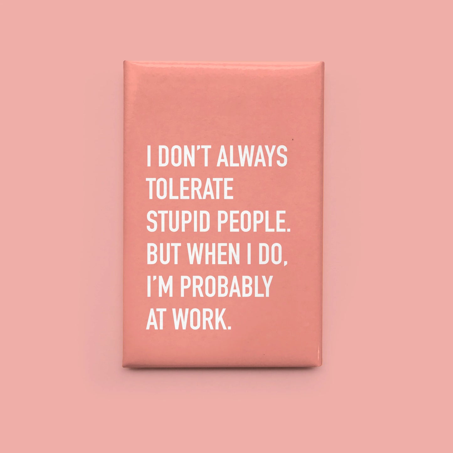 Tolerate Stupid People Magnet