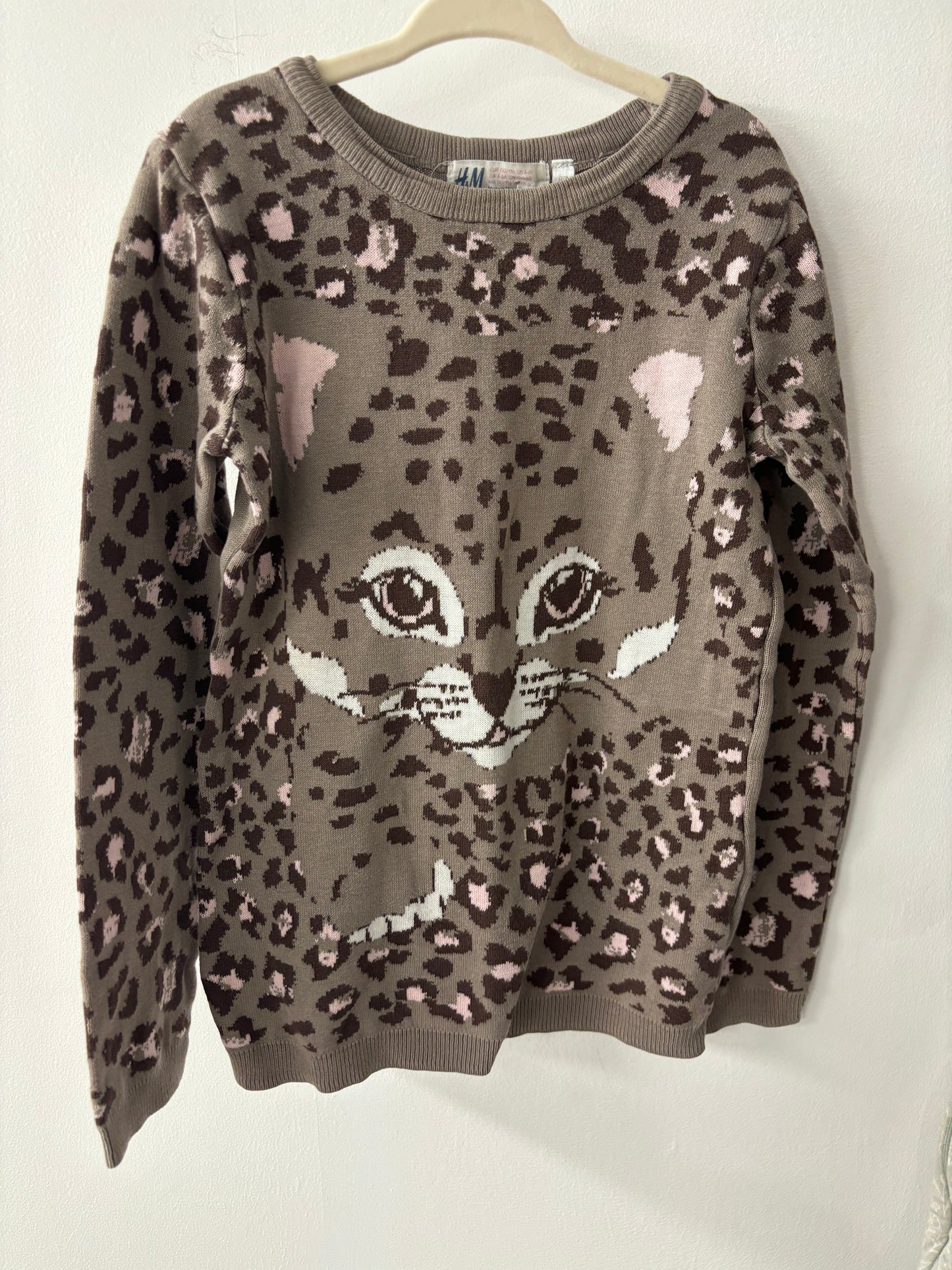 H&M Sweater 4-6T