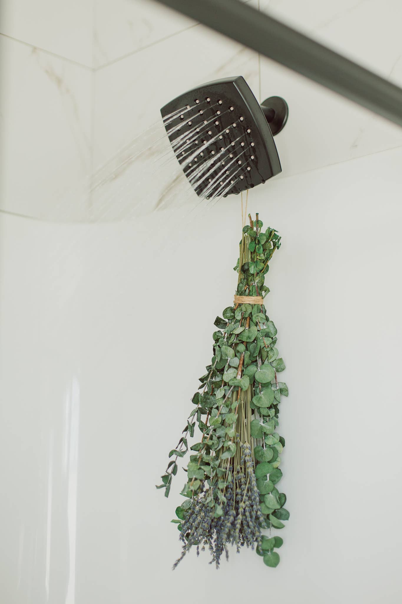 Eucalypt Co. - Eucalyptus + Lavender Shower Bundle: Large
