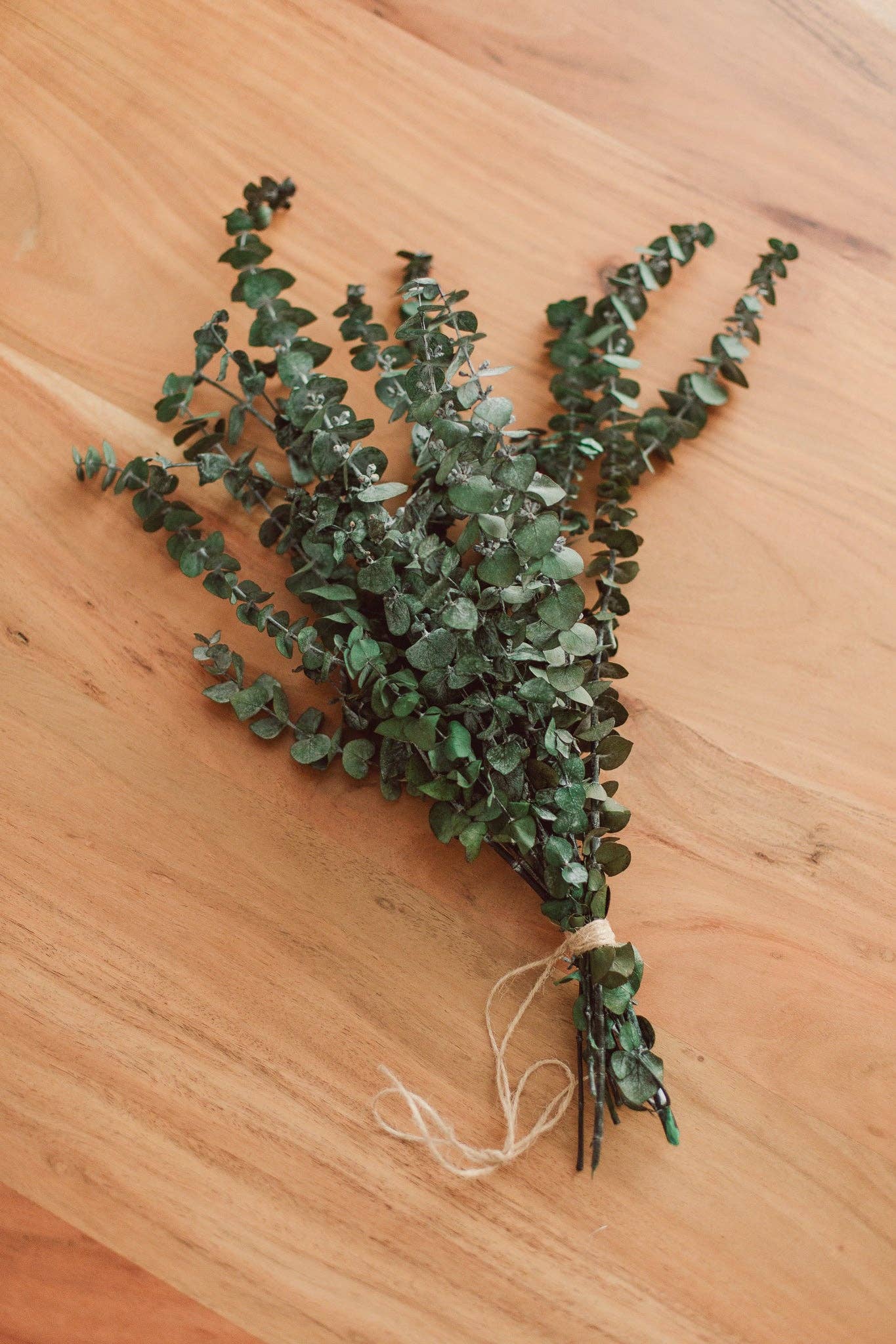 Eucalypt Co. - Eucalyptus Shower Bundle: Large