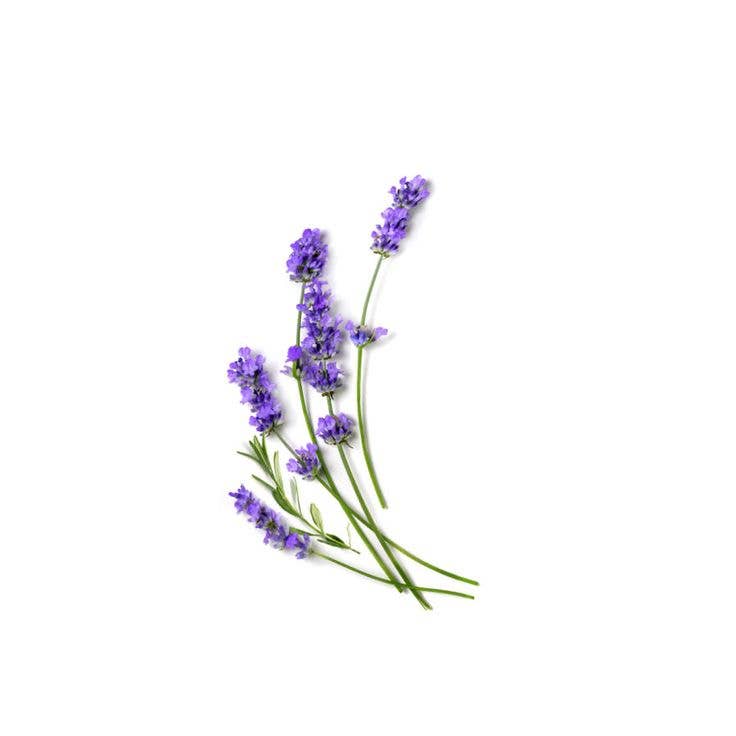 Rebels Refinery - Lavender x Eucalyptus Pocket Hand Sanitizer