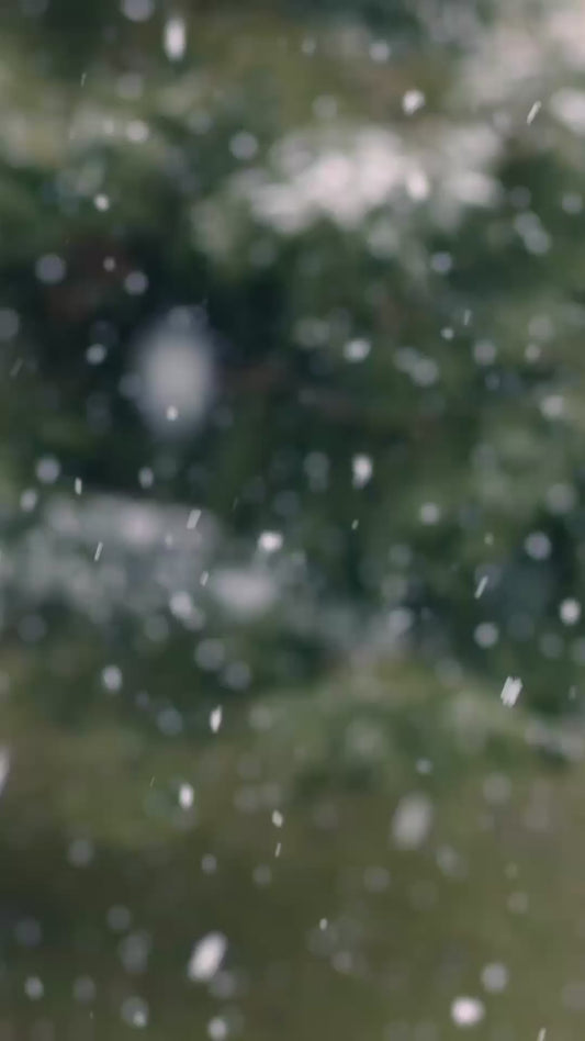 Tired Mom’s Social Event - Winter Edition